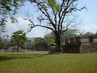 The ruins of Cop�n